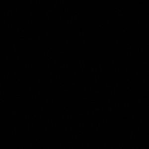 Meet your Posher, Katlyn